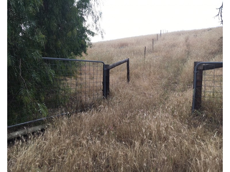 547 Bondleigh Rd, Rockleigh SA 5254