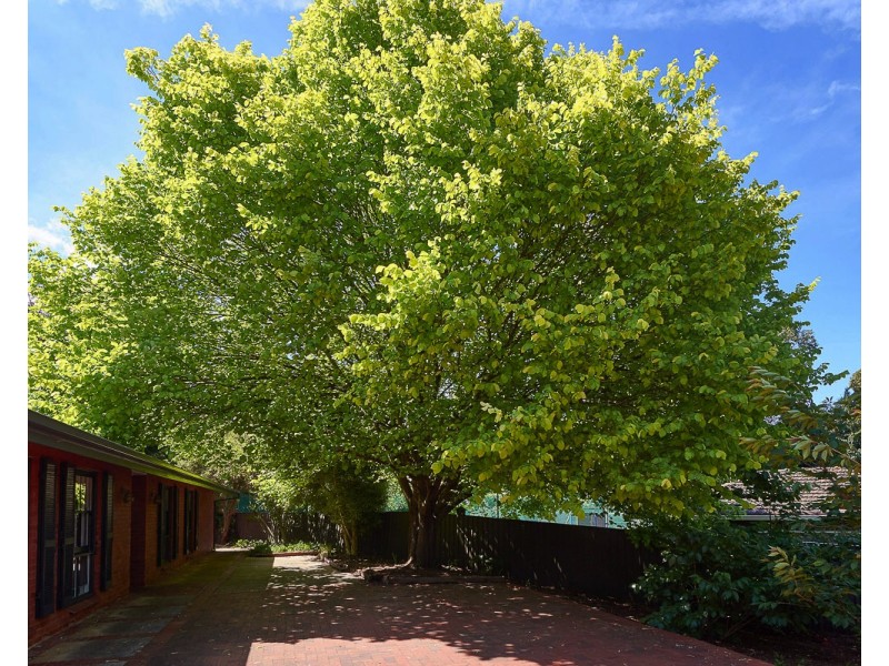 9 Hillridge Dr, Belair SA 5052