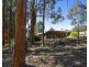 64 Tregarthen Rd, Summertown SA 5141