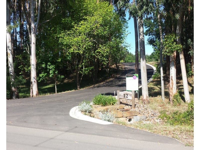 Lot 503, 12 Searle Street, Macclesfield SA 5153