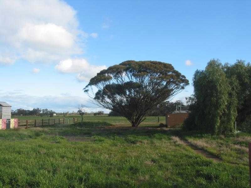 L1 & 2 / 65 Webster Street, Wycheproof VIC 3527