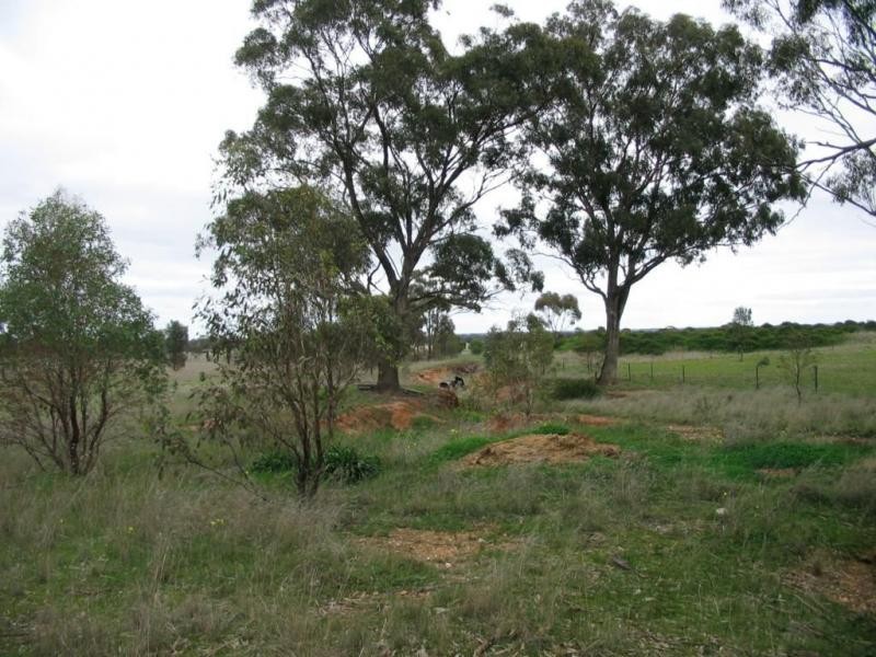 CA48 Sec D Woolpack Road, St Arnaud VIC 3478