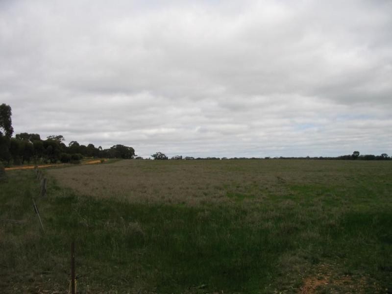 CA48 Sec D Woolpack Road, St Arnaud VIC 3478