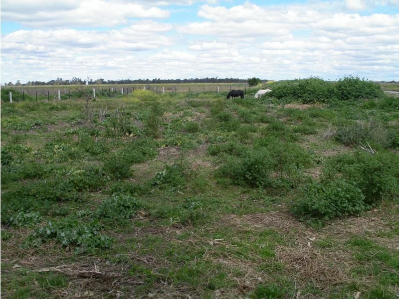 1229 Appin South Road, Kerang VIC 3579