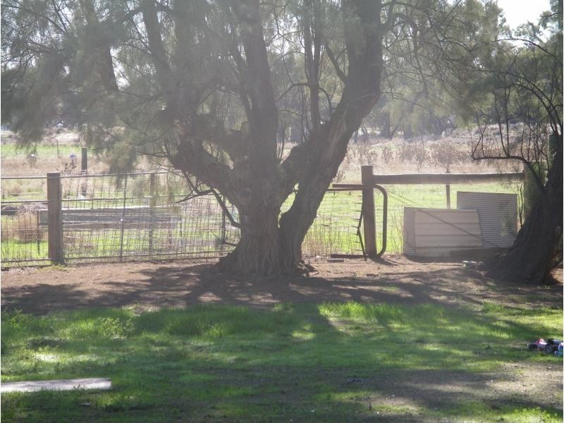 1963 Echuca Serpentine Road, Calivil VIC 3573