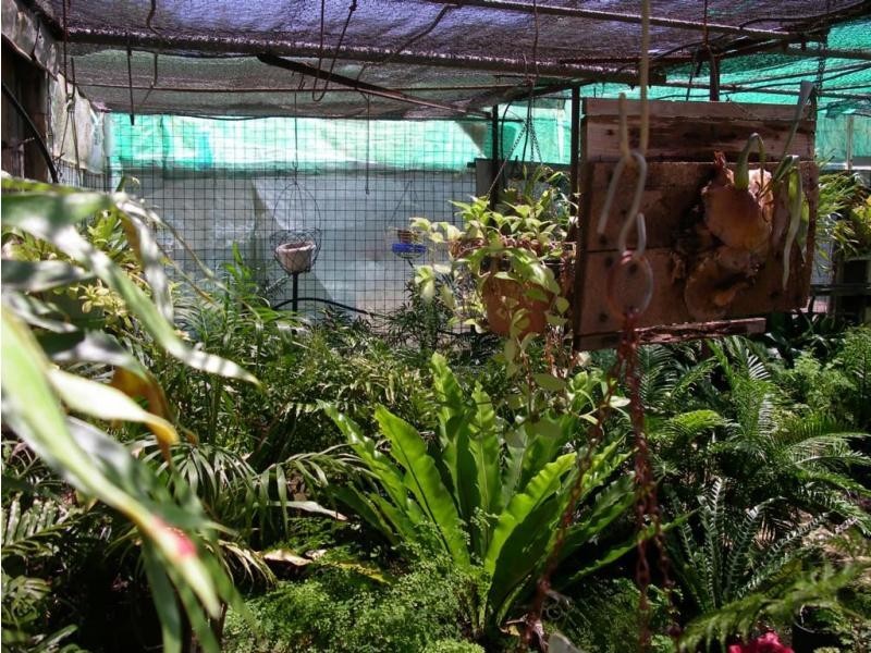 95 Commercial Road, Tarnagulla VIC 3551