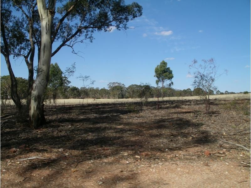 1 Holts Lane, Wedderburn VIC 3518