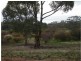 1 Holts Lane, Wedderburn VIC 3518