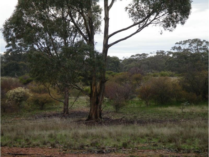 1 Holts Lane, Wedderburn VIC 3518