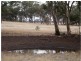 1 Holts Lane, Wedderburn VIC 3518