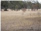 1 Holts Lane, Wedderburn VIC 3518