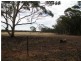 1 Holts Lane, Wedderburn VIC 3518