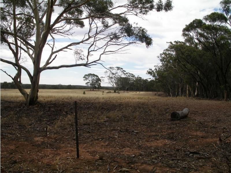1 Holts Lane, Wedderburn VIC 3518