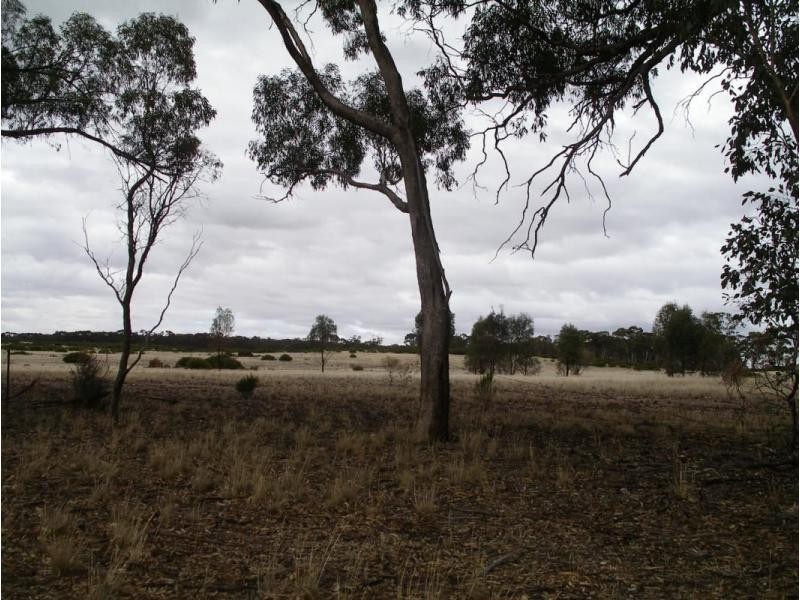 1 Holts Lane, Wedderburn VIC 3518