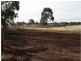1 Holts Lane, Wedderburn VIC 3518