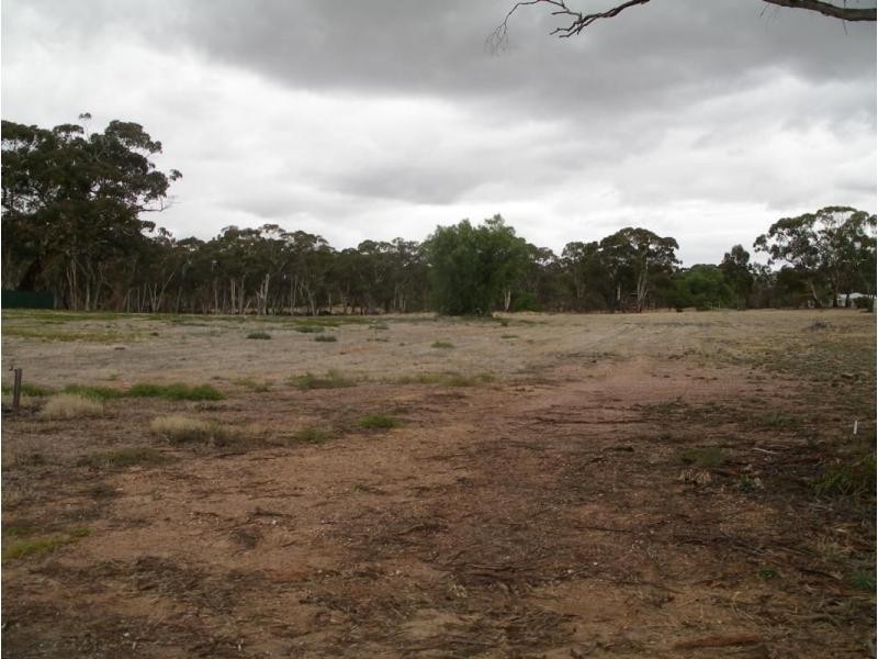 1 Holts Lane, Wedderburn VIC 3518