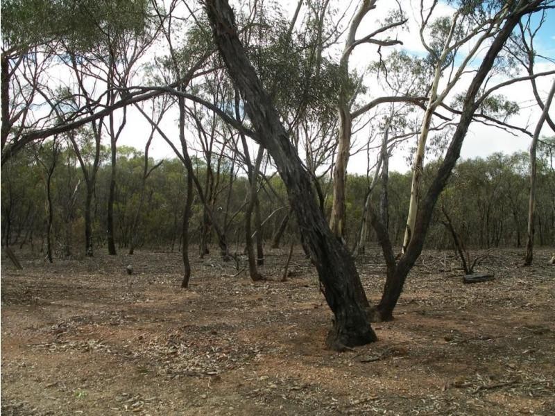 1 Holts Lane, Wedderburn VIC 3518