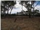 1 Holts Lane, Wedderburn VIC 3518