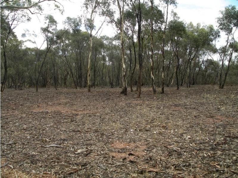 1 Holts Lane, Wedderburn VIC 3518