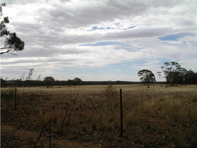 1 Holts Lane, Wedderburn VIC 3518