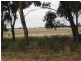 Lot 26E Arnold Newbridge Road, Newbridge VIC 3551