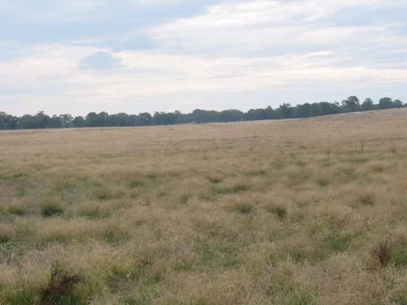 Lot 26E Arnold Newbridge Road, Newbridge VIC 3551