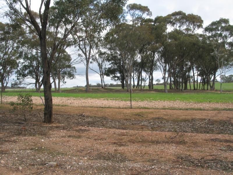 Lot 26E Arnold Newbridge Road, Newbridge VIC 3551