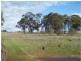 Lot 26E Arnold Newbridge Road, Newbridge VIC 3551