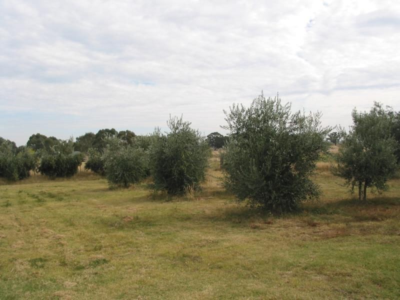 63 Sandhurst Road, Raywood VIC 3570