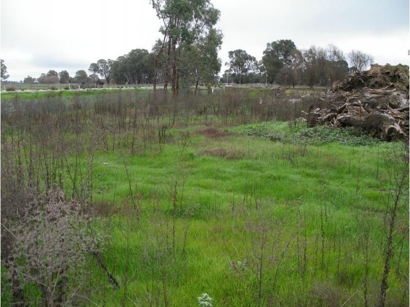 103 Olsens Road, Koondrook VIC 3580