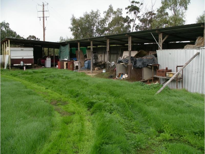 103 Olsens Road, Koondrook VIC 3580