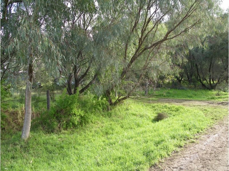 103 Olsens Road, Koondrook VIC 3580