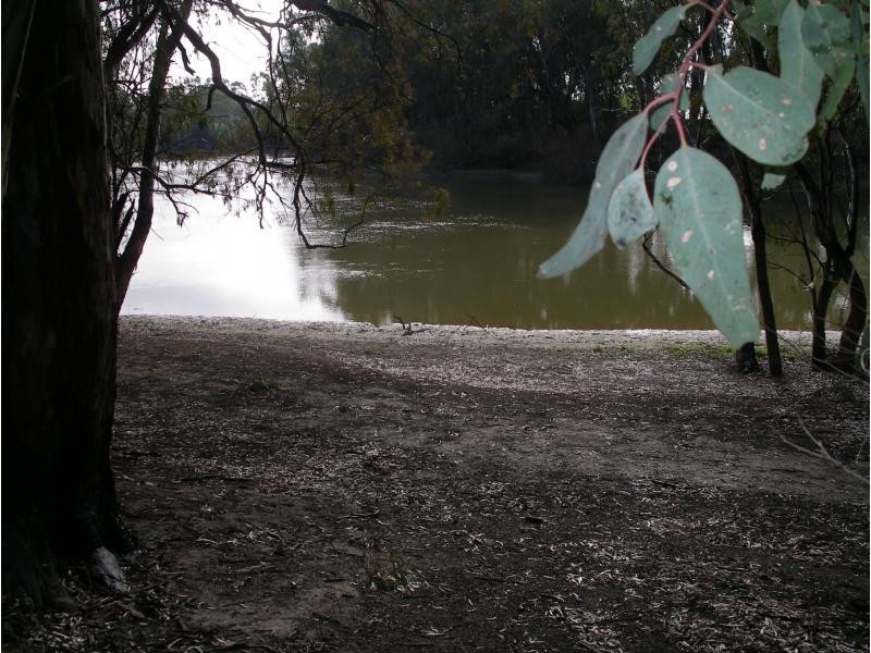 103 Olsens Road, Koondrook VIC 3580