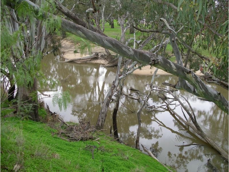 Newbridge VIC 3551