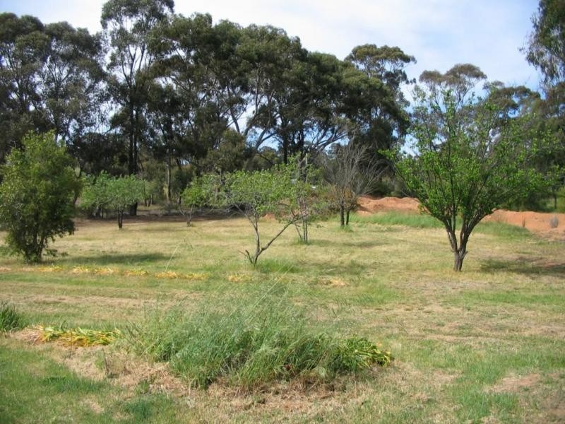 124 Nine Mile Road, Wedderburn VIC 3518