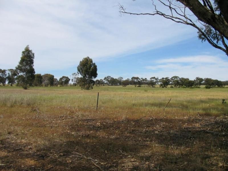 124 Nine Mile Road, Wedderburn VIC 3518