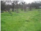 50 Specimen Road, Wedderburn VIC 3518