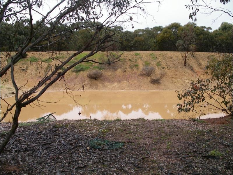 163 Richmond Plains Road, Wedderburn VIC 3518