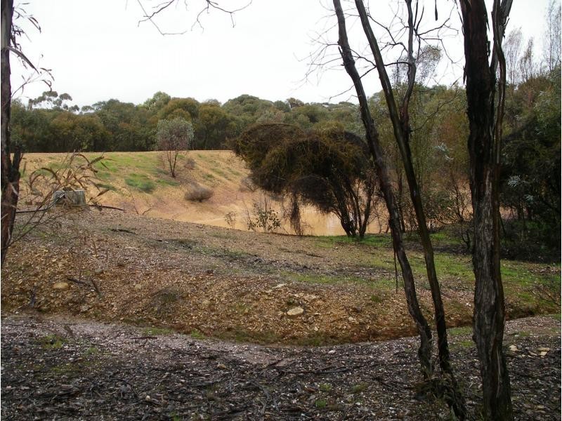 163 Richmond Plains Road, Wedderburn VIC 3518