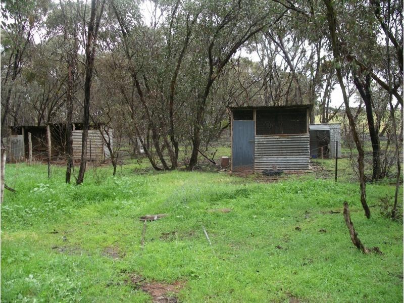 163 Richmond Plains Road, Wedderburn VIC 3518