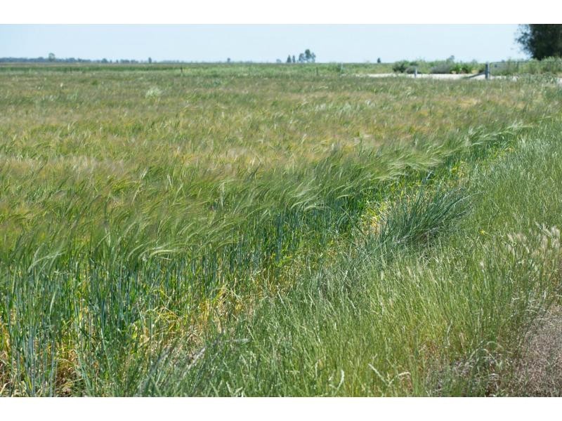 3 Byrnes Road, Durham Ox VIC 3576