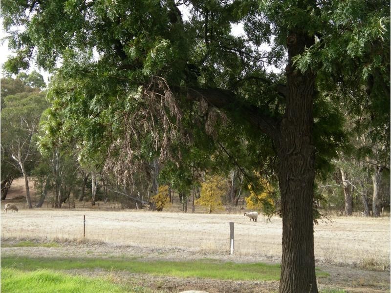 137 HIgh Street, Wedderburn VIC 3518