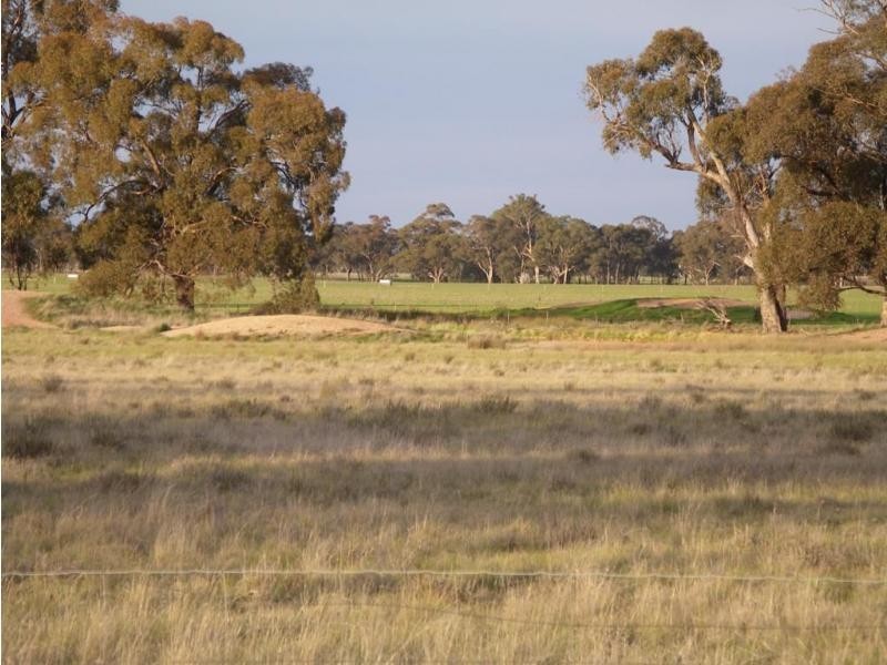 22 Triangle/Diagonal Road, Newbridge VIC 3551