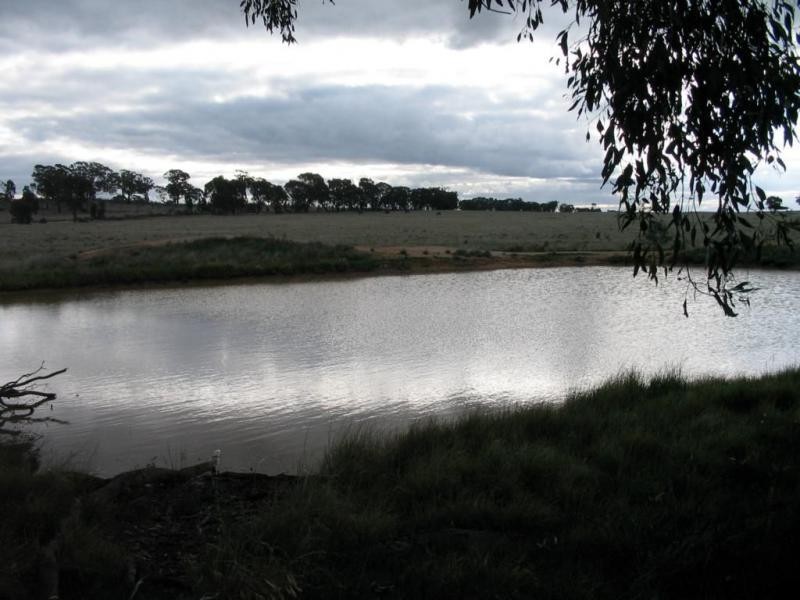 22 Triangle/Diagonal Road, Newbridge VIC 3551