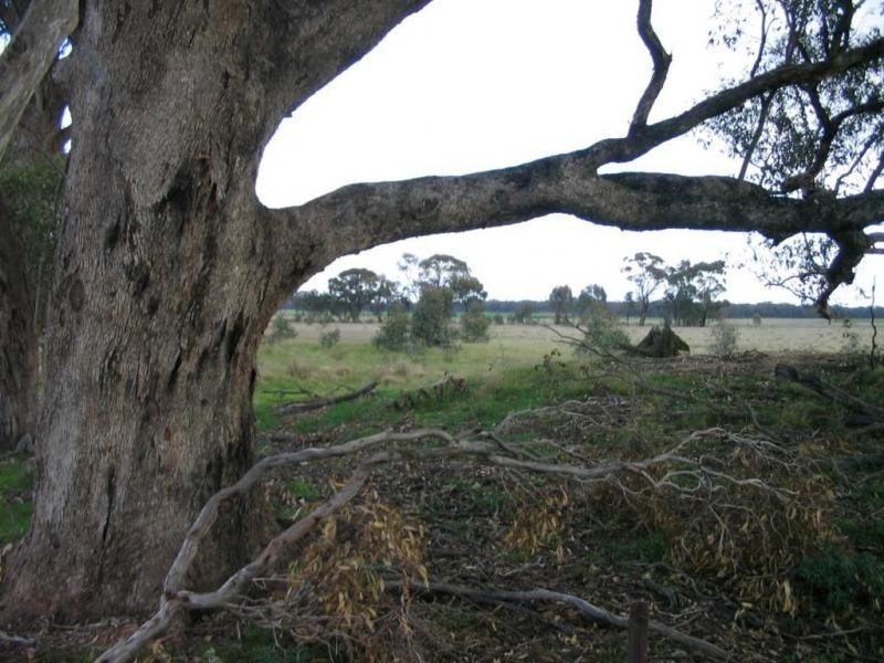 22 Triangle/Diagonal Road, Newbridge VIC 3551