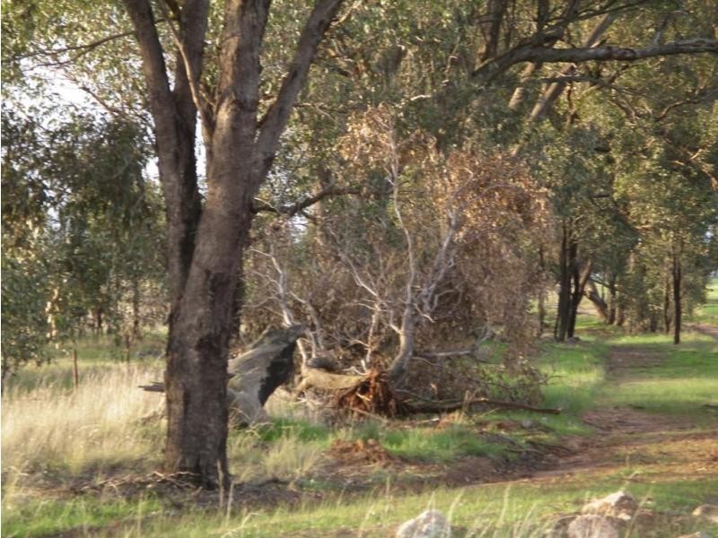 22 Triangle/Diagonal Road, Newbridge VIC 3551