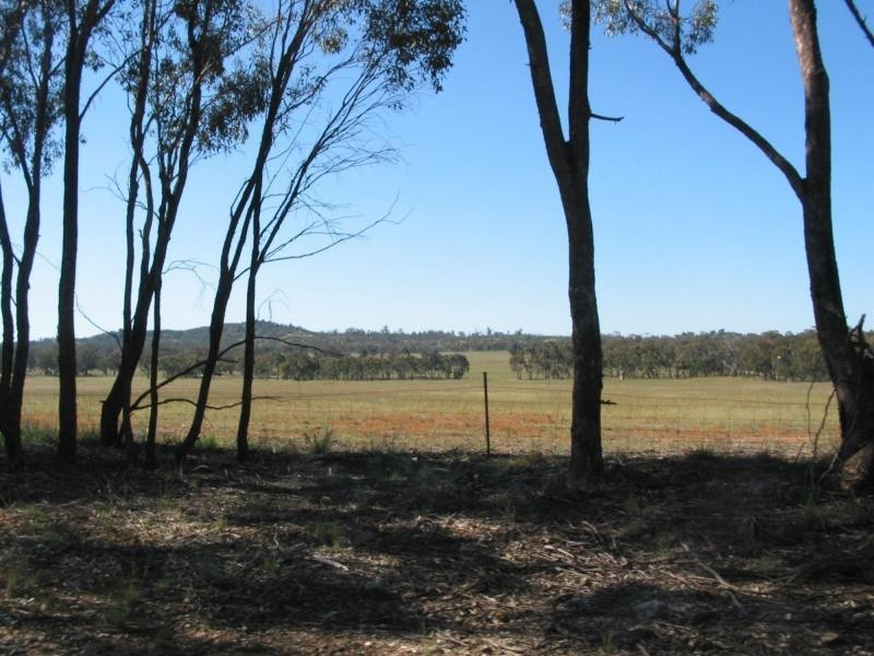 539 Wychitella Korong Vale Road, Wedderburn VIC 3518