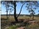 539 Wychitella Korong Vale Road, Wedderburn VIC 3518