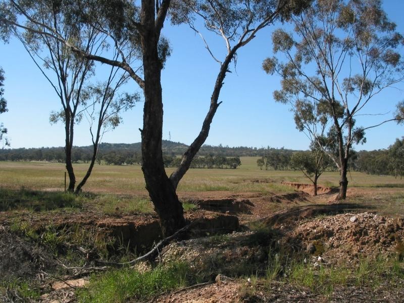 539 Wychitella Korong Vale Road, Wedderburn VIC 3518