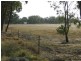 539 Wychitella Korong Vale Road, Wedderburn VIC 3518